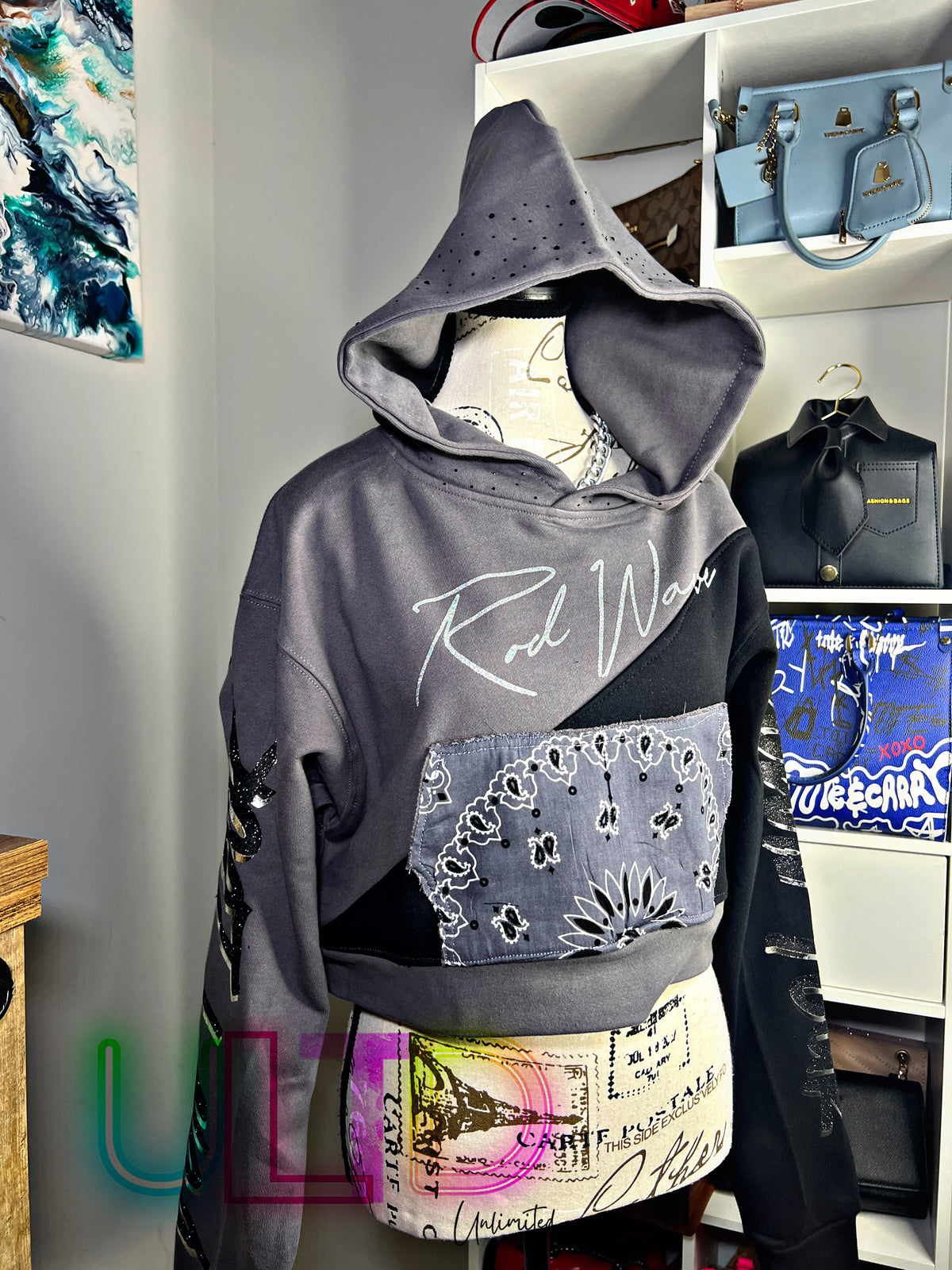 Wave Runner Cropped Hoodie